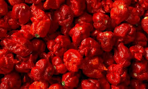 Carolina Reaper Infused Maple Syrup 8oz